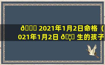 🍀 2021年1月2日命格（2021年1月2日 🦁 生的孩子五行缺什么）